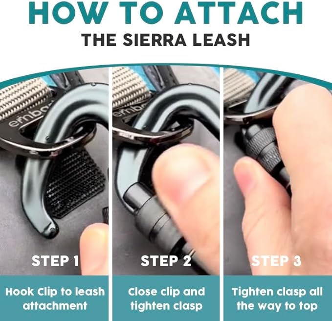 Embark Sierra Leash